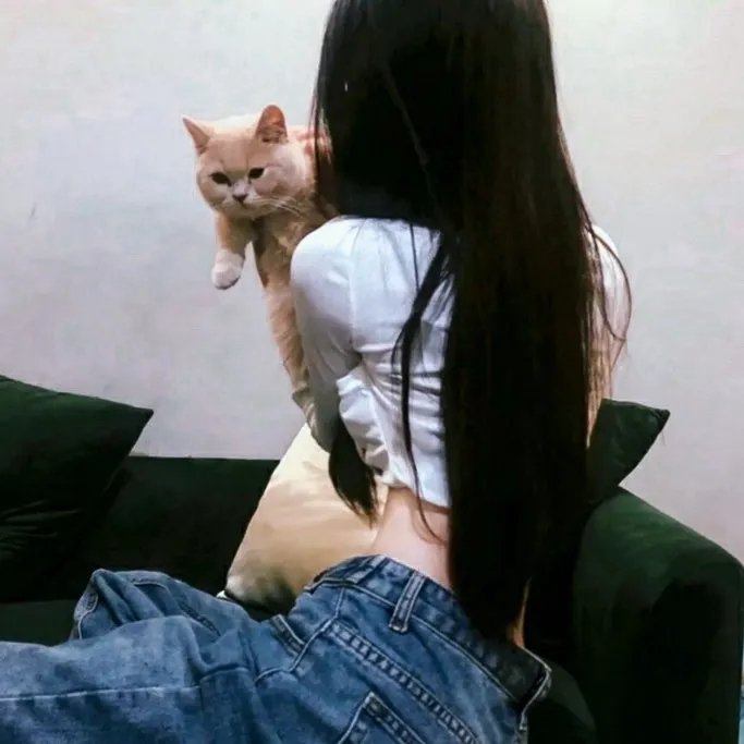 遗忘的碎片