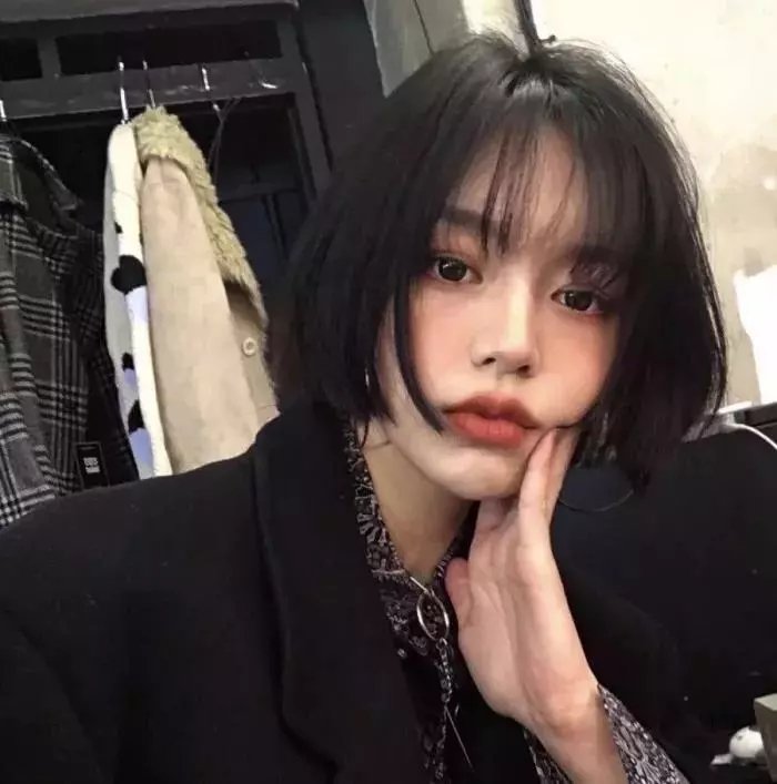 小豆的旅程